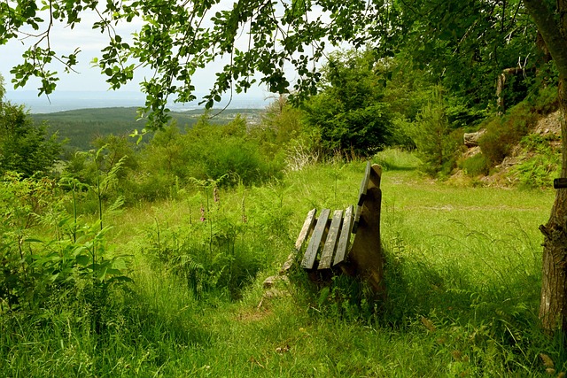 还频频封盖 还频频封盖