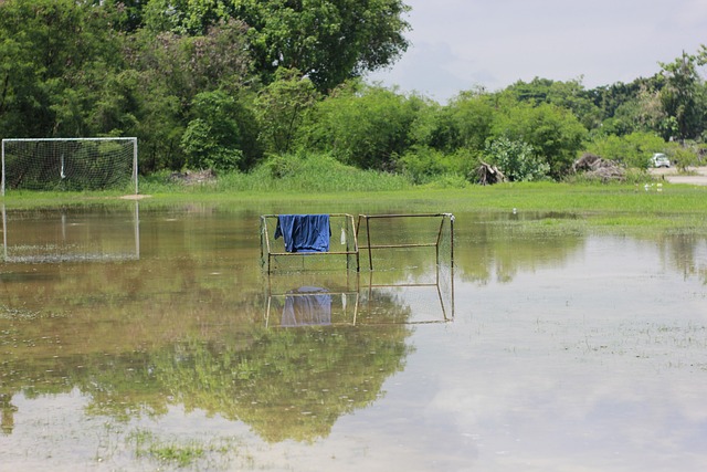 成为一项国 成为一项国