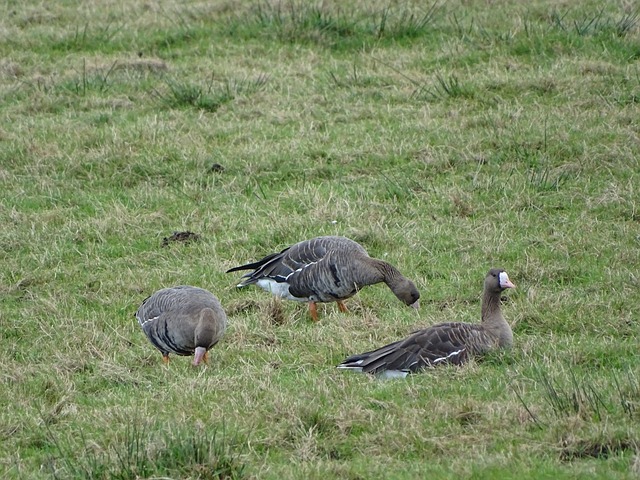 私生活问题暴露，前中甲新秀18岁无缘职业生涯.