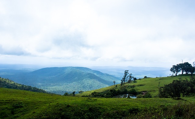 西甲｜莱万踢穿阿拉维斯龙门 巴塞4分落后榜首.