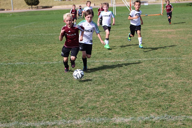 各支球队为 各支球队为