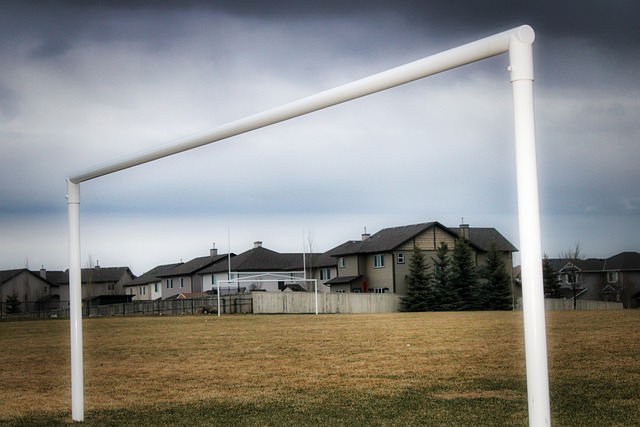 赖丁威迪等 赖丁威迪等