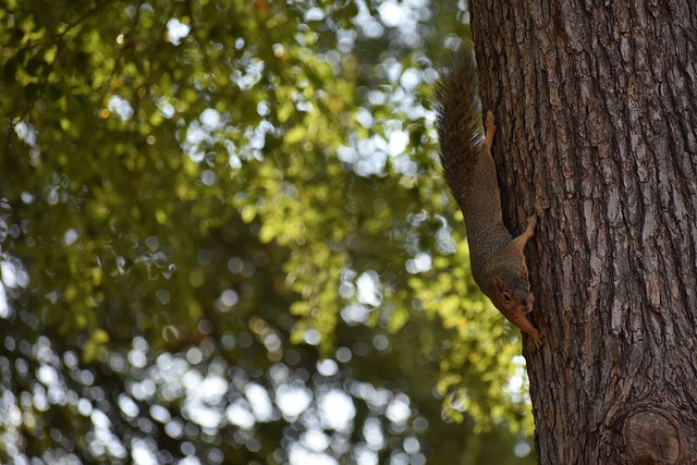中超的雄心 中超的雄心